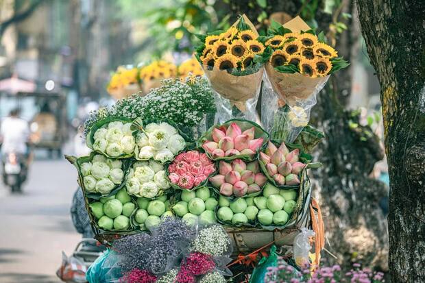 Khám phá bản đồ tour miền Bắc 2024 về miền ký ức lịch sử thăng trầm