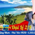 Tour Quy Nhơn Tuy Hòa 4 ngày 3 đêm | Kỳ Co – Eo Gió – Bãi Xép – Ghềnh Đá Đĩa