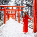 Cẩm nang khám phá tour du lịch Hokkaido qua những vẻ đẹp hoàn mỹ