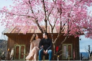 Bí kíp đi tour Tết Dương lịch 2024 cho kỳ nghỉ ngắn ngày trọn vẹn