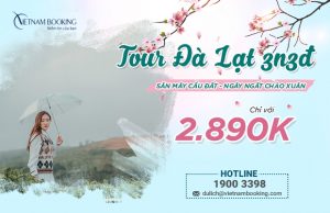 Giá tour Tết 2024 gia đình: Chọn thế nào để tiết kiệm nhất?
