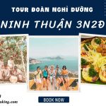 Tour du lịch nghỉ dưỡng 3 ngày 2 đêm: Ninh Chữ – Vĩnh Hy – Lặn ngắm san hô