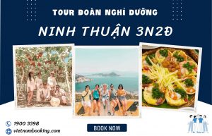 Tour du lịch nghỉ dưỡng 3 ngày 2 đêm: Ninh Chữ – Vĩnh Hy – Lặn ngắm san hô