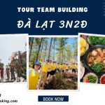 Tour cắm trại Đà Lạt 3 Ngày 2 đêm không lưu trú cho khách đoàn