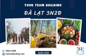 Tour cắm trại Đà Lạt 3 Ngày 2 đêm không lưu trú cho khách đoàn