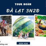 Tour đi Đà Lạt bằng máy bay | Hành trình mới mẻ & linh hoạt 3N2Đ