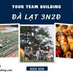 Tour Đà Lạt cắm trại 3 ngày 2 đêm có lưu trú cho khách đoàn: Nơi duy nhất cung cấp lều ngủ có đệm hơi