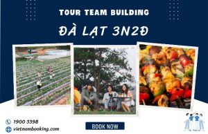 Tour Đà Lạt cắm trại 3 ngày 2 đêm có lưu trú cho khách đoàn: Nơi duy nhất cung cấp lều ngủ có đệm hơi