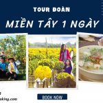 Tour du lịch Sài Gòn Miền Tây 1 ngày | Về thăm làng hoa Sa Đéc ngút ngàn