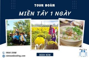 Tour du lịch Sài Gòn Miền Tây 1 ngày | Về thăm làng hoa Sa Đéc ngút ngàn