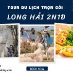Tour Long Hải teambuilding Gala Dinner 2 ngày 1 đêm: Tham quan núi Minh Đạm – Check in Đồng Cừu