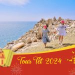 Tour Tết Ninh Chữ Vĩnh Hy 3N2Đ – Đi tàu đáy kính ngắm san hô, check in đồng cừu đón năm mới