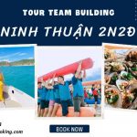 Tour Teambuilding Gala Dinner: Kết Nối Đội Ngũ, Trải Nghiệm Đáng Nhớ