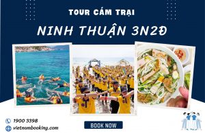 Tour Team Building – Gala Dinner 3 ngày 2 đêm: Ninh Chữ Vĩnh Hy – Chèo Sup – Lặn ngắm san hô