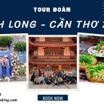 Tour Vĩnh Long – Cần Thơ 2n1d khách đoàn: Chùa Phật Ngọc Xá Lợi, Căn Nhà Màu Tím, Chợ Nổi Cái Răng