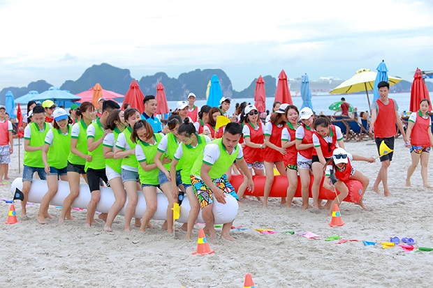 Dụng cụ team building và những điều doanh nghiệp nên biết