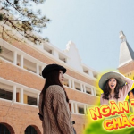 Tour du lịch Đà Lạt Nha Trang 5 ngày 4 đêm từ Hà Nội | Cao nguyên đại ngàn & Biển xanh vẫy gọi