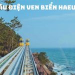 Tour Hàn Quốc Khám Phá Busan – Daegu – Seoul 6 Ngày 5 Đêm – Trải Nghiệm Văn Hóa và Phong Cảnh Đặc Sắc