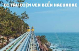 Tour Hàn Quốc Khám Phá Busan – Daegu – Seoul 6 Ngày 5 Đêm – Trải Nghiệm Văn Hóa và Phong Cảnh Đặc Sắc