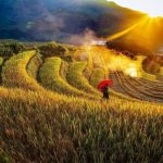 Top 10 trải nghiệm tại Sa Pa siêu hấp dẫn mà bạn nhất định phải thử