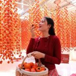 Những món đặc sản Đà Lạt nên mua về làm quà cho bạn bè, người thân