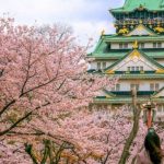Lâu đài Osaka: Biểu tượng văn hóa, lịch sử nổi tiếng của Nhật Bản