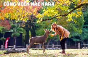 Tour du lịch Nhật Bản 4 ngày 4 đêm | Bay Vietnam Airlines – Vi vu xứ sở phù tang
