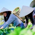 Khám phá thiên nhiên với du lịch nông nghiệp độc đáo