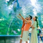 Kinh nghiệm du lịch Nha Trang 4 ngày 3 đêm đầy đủ và chi tiết nhất 2024