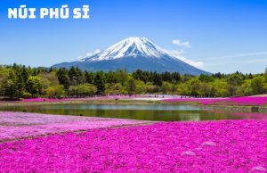 Tour 4N4Đ Nhật Bản: Khám Phá Kyoto – Osaka – Tokyo