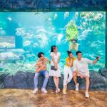 Tham quan thủy cung Times City 2023 với vô vàn điều thú vị, hấp dẫn 