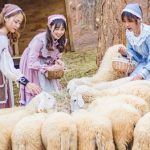 “Lạc lối” tại Wonderland Đà Lạt – Thiên đường giải trí hấp dẫn, đẳng cấp 
