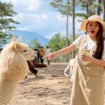 Zoodoo Đà Lạt – Vườn thú siêu dễ thương nhất định phải ghé chơi