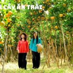 Tour Củ Chi MeKong 1 Ngày: Khám Phá Hành Trình Đậm Đà Văn Hóa Việt