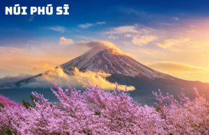 Tour Du Lịch Nhật Bản Từ Hà Nội 6N5Đ: Hành Trình Đến Tokyo – Osaka Ngắm Cảnh Đẹp Mùa Hoa Anh Đào