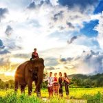 Khu du Lịch Buôn Đôn – Những trải nghiệm đáng nhớ