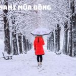 Tour Hàn Quốc Mùa Đông 5N4Đ: Khám Phá Seoul & Vui Chơi Tại Lotte World – Kỳ Nghỉ Đông Thần Tiên!