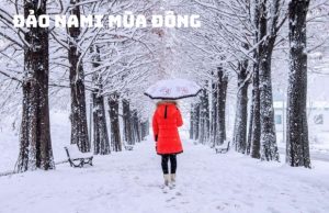 Tour Hàn Quốc Mùa Đông 5N4Đ: Khám Phá Seoul & Vui Chơi Tại Lotte World – Kỳ Nghỉ Đông Thần Tiên!