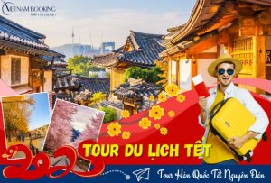 Tour du lịch Hàn Quốc Tết Nguyên Đán 2025 giá rẻ (5N4Đ) | HCM – Seoul – Nami – Lotte World