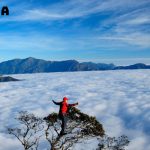 Tour Mộc Châu 2N1Đ: Khám Phá Cầu Kính Bạch Long và Săn Mây Tà Xùa