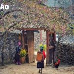 Tour Sapa – Hà Giang 4 Ngày 4 Đêm: Khám Phá Vẻ Đẹp Tây Bắc Hùng Vĩ