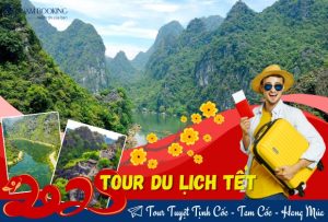 Tour Tuyệt Tịnh Cốc – Tam Cốc – Hang Múa 1 Ngày: Trải Nghiệm Kỳ Quan Thiên Nhiên