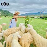 Tour Vĩnh Hy Nha Trang 3N3Đ mùa hè | Vi vu khám phá thành phố biển tuyệt vời