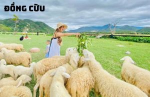 Tour Vĩnh Hy Nha Trang 3N3Đ mùa hè | Vi vu khám phá thành phố biển tuyệt vời