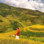Du lịch miền Bắc mùa nào đẹp nhất? Nên đi đâu?