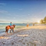 Lên kế hoạch du lịch Thái Lan với loạt tour ấn tượng giá rẻ