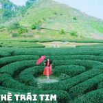 Tour Mai Châu – Mộc Châu từ Hà Nội: Khám Phá Vẻ Đẹp Tây Bắc