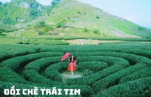 Tour Mai Châu – Mộc Châu từ Hà Nội: Khám Phá Vẻ Đẹp Tây Bắc