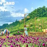 Tour Tây Bắc 3 Ngày 3 Đêm: Khám Phá Văn Hóa Vẻ Đẹp Hùng Vĩ