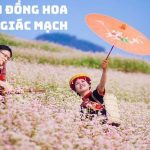 Tour du lịch Hà Nội – Hà Giang – Cao Bằng – Thác Bản Giốc – Hang Pác Bó – Hồ Ba Bể dịp Lễ 30/4/2024